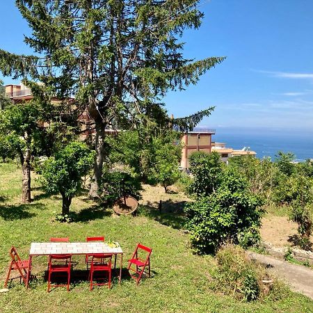 Ricomincio Da Te Villa Vico Equense Eksteriør billede